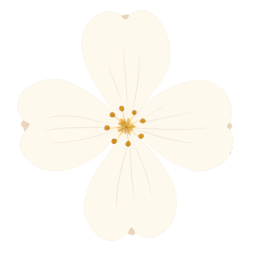 Dogwood Security